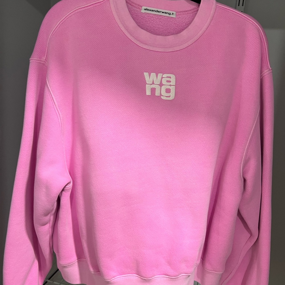 Alexander Wang Pink Sweatshirt